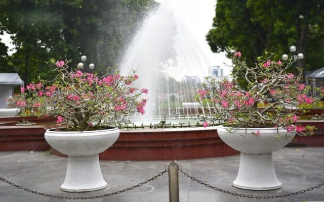 Công trình đài phun nước được đặt tại khu vực gần cổng chính.