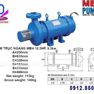 may bom chim truc ngang 12.5hp 2