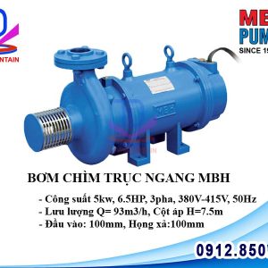 Máy bơm chìm trục ngang MBH 5kw 6.5HP